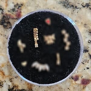 Pupil Hall Bada Bing